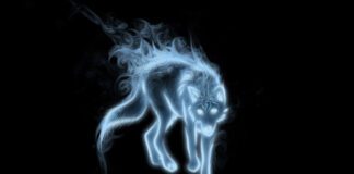 wolf patronus